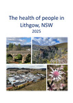 The health of people in Lithgow, NSW 2025